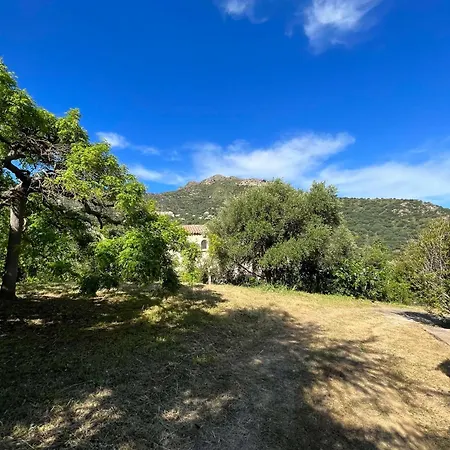 Bel Proche Du Centre Apartament