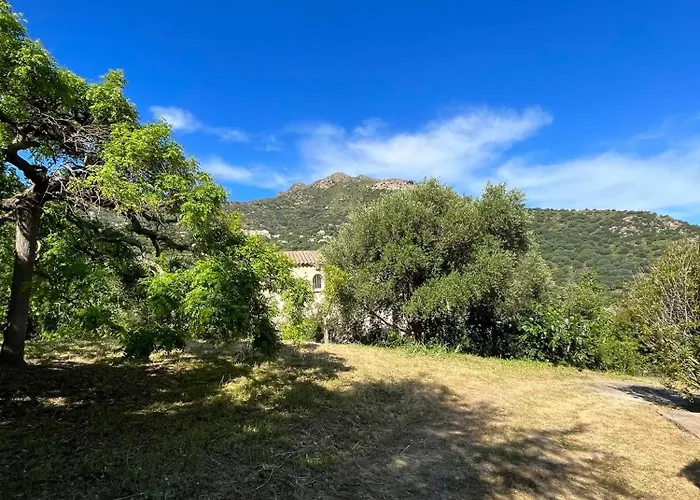 Bel Proche Du Centre Apartamento