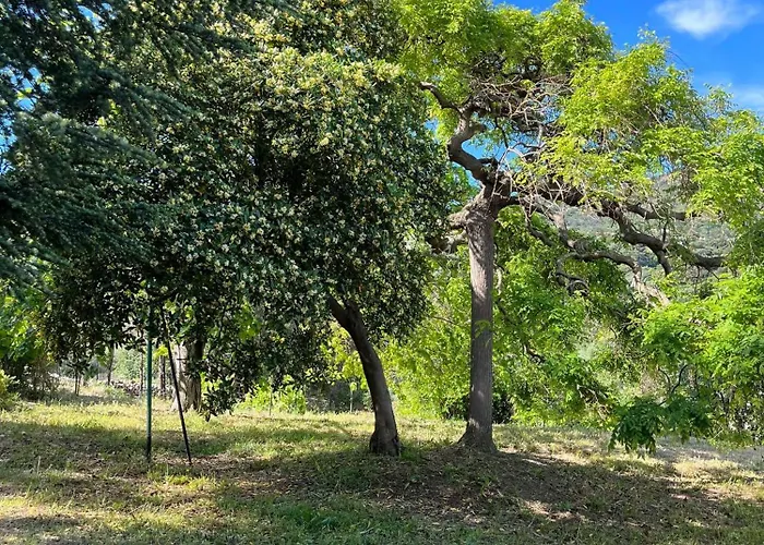 Apartamento Bel Proche Du Centre *